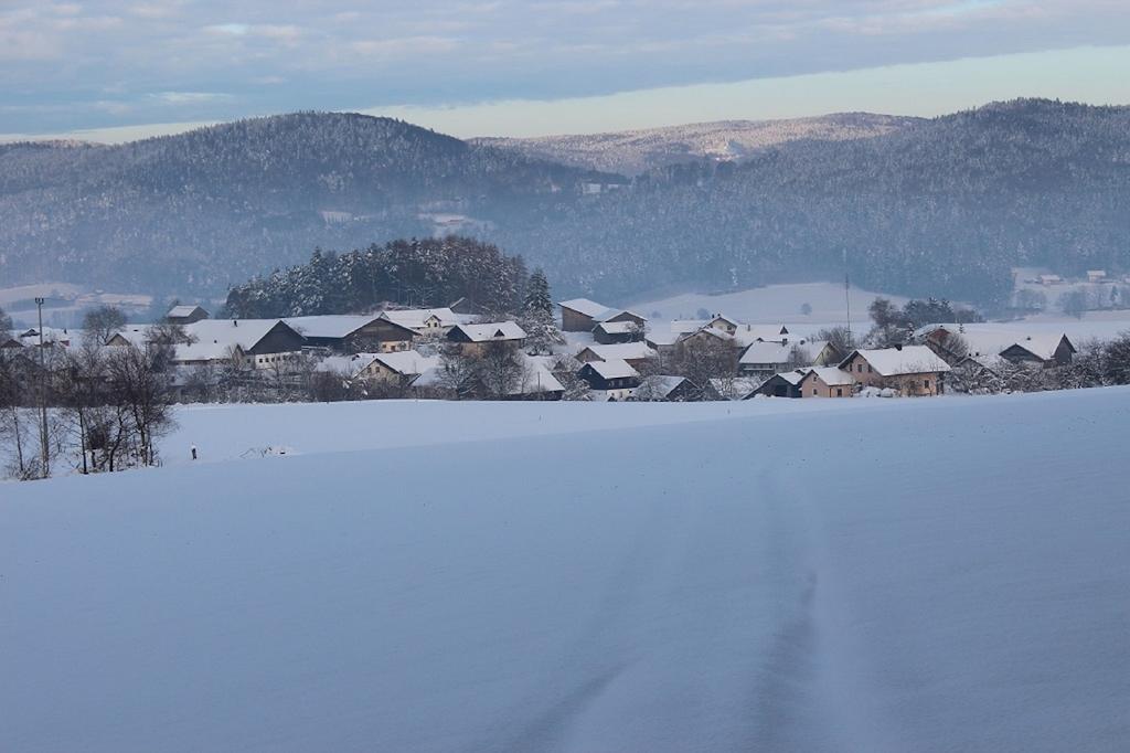 Gasthaus Zur Waldesruh Waffenbrunn Exteriér fotografie