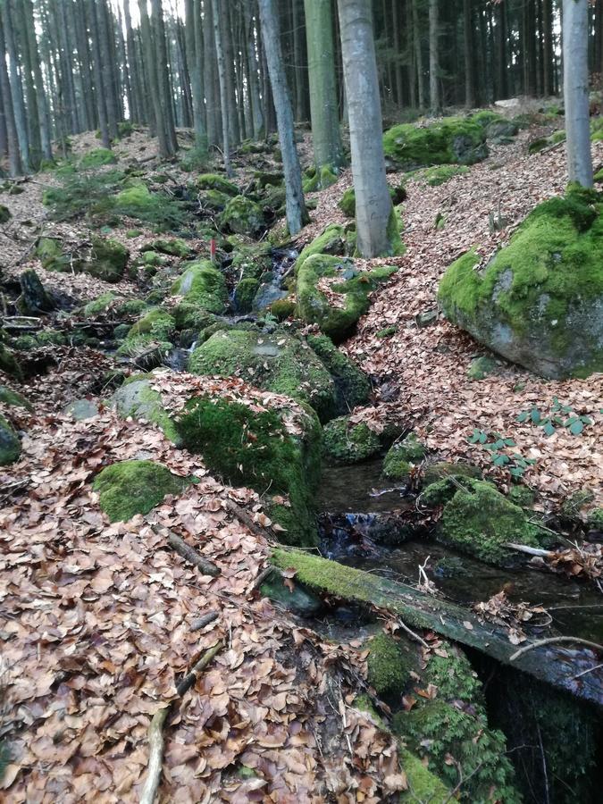 Gasthaus Zur Waldesruh Waffenbrunn Exteriér fotografie