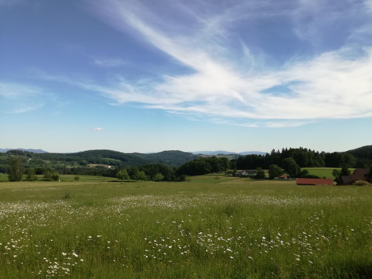 Gasthaus Zur Waldesruh Waffenbrunn Exteriér fotografie