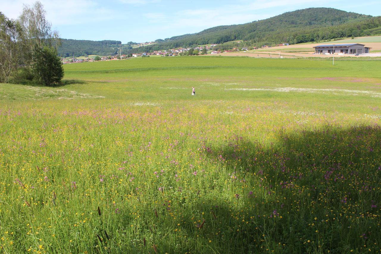 Gasthaus Zur Waldesruh Waffenbrunn Exteriér fotografie